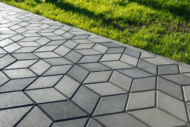 Best Local Driveway Pavers  in Sandia Knolls, NM