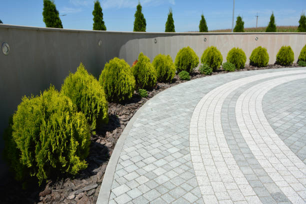 Reasons to Select Us for Your Driveway Paving Requirements in Sandia Knolls, NM